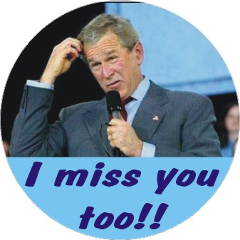 bushmissed.jpg